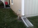 The feed for the "rain gutter" antenna.